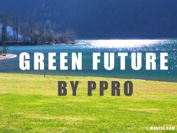 img_1-2 Green Future - Foto Mosaik Pixelbild Vorlage - low.jpg